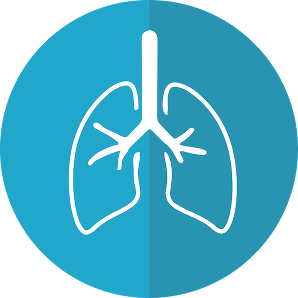 lungs-2803208_1280