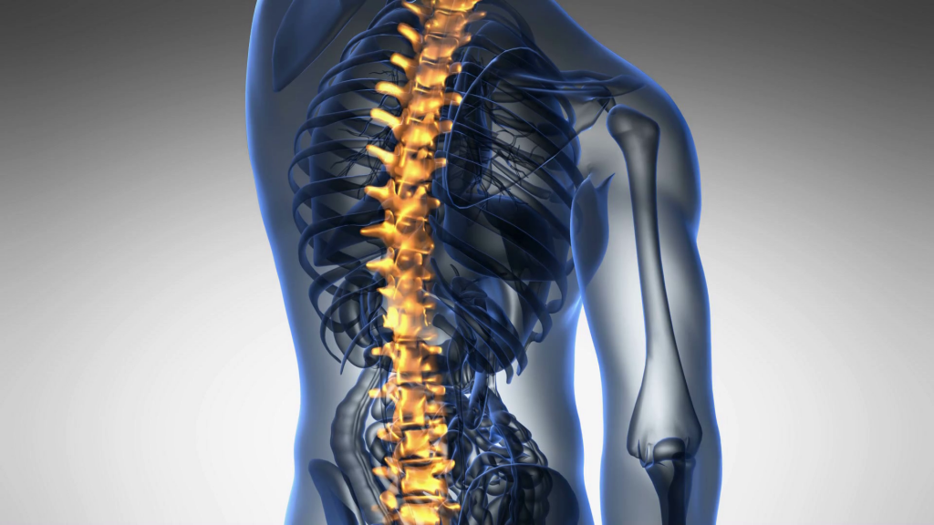 backbone-backache-science-anatomy-scan-of-human-spine-bones-glowing-with-yellow_b0ngymiyl_thumbnail-full01
