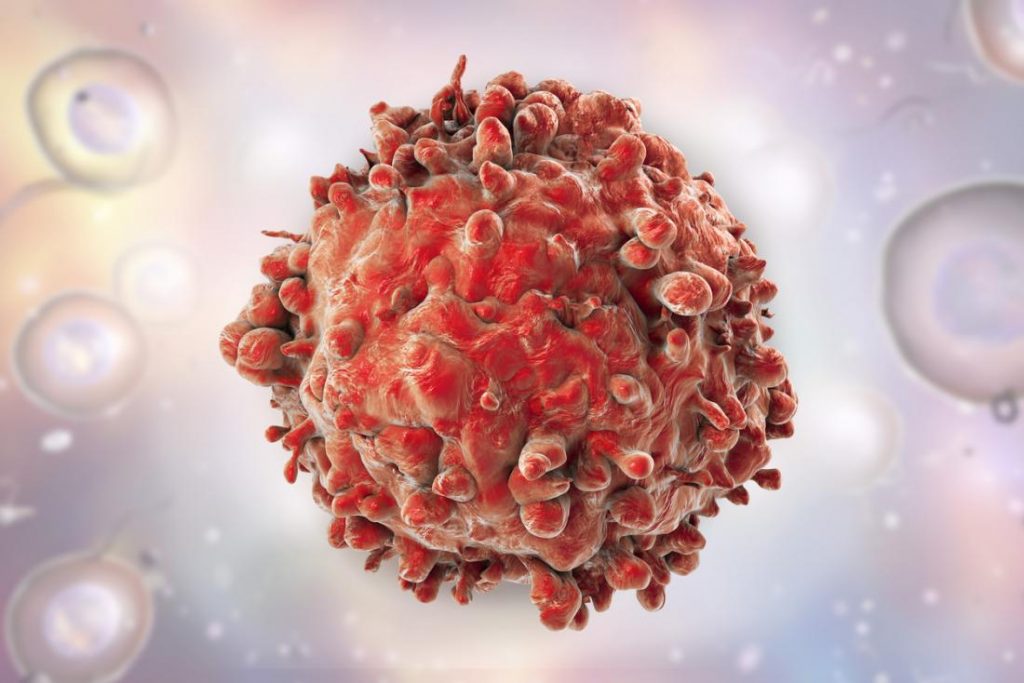 leukemic-cell