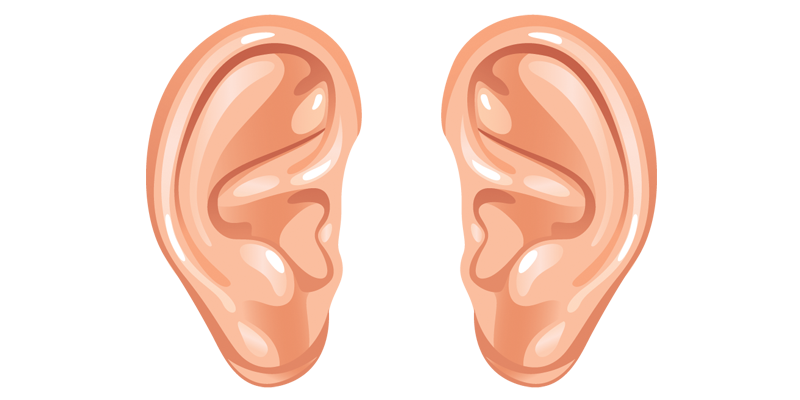 two-ears