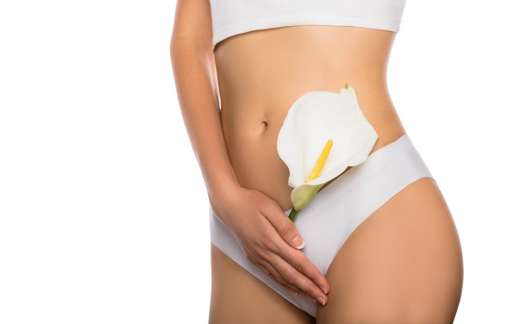 female reproductive health, gynecology isolated on white